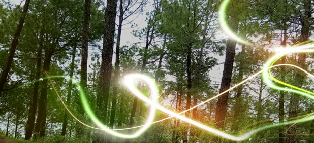 banner10